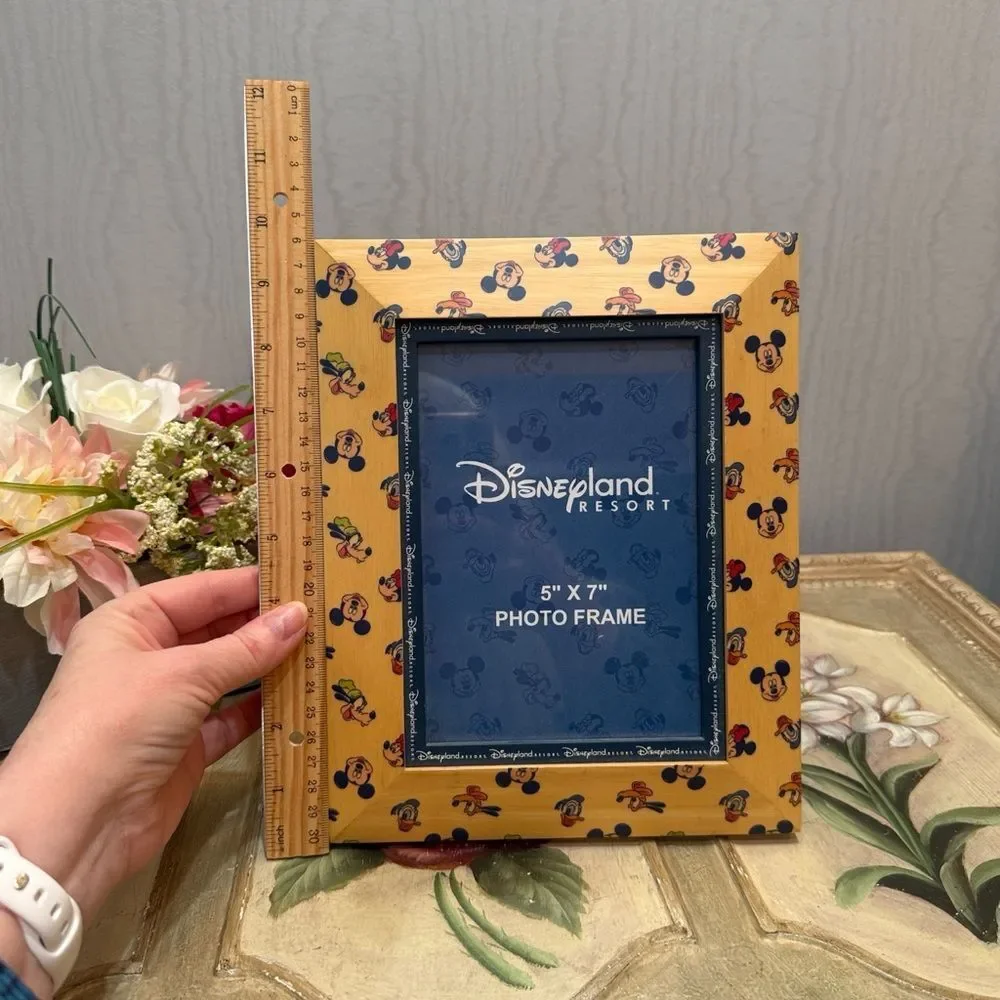 Vintage Disneyland Resort Wooden Photo Picture Frame 5x7